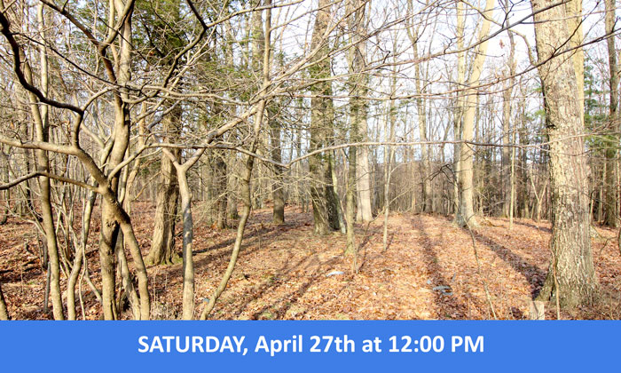 129+/- ACRES TILLABLE/WOODED LAND